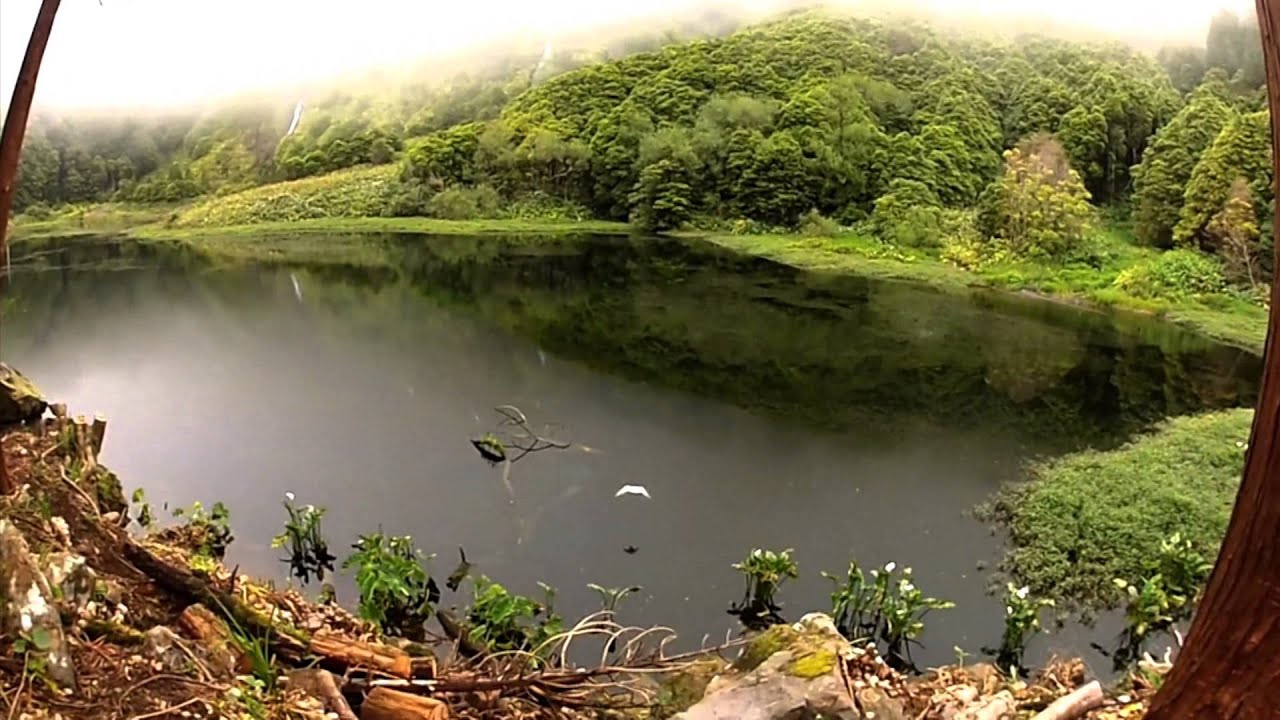 frases sobre el ser humano y la naturaleza