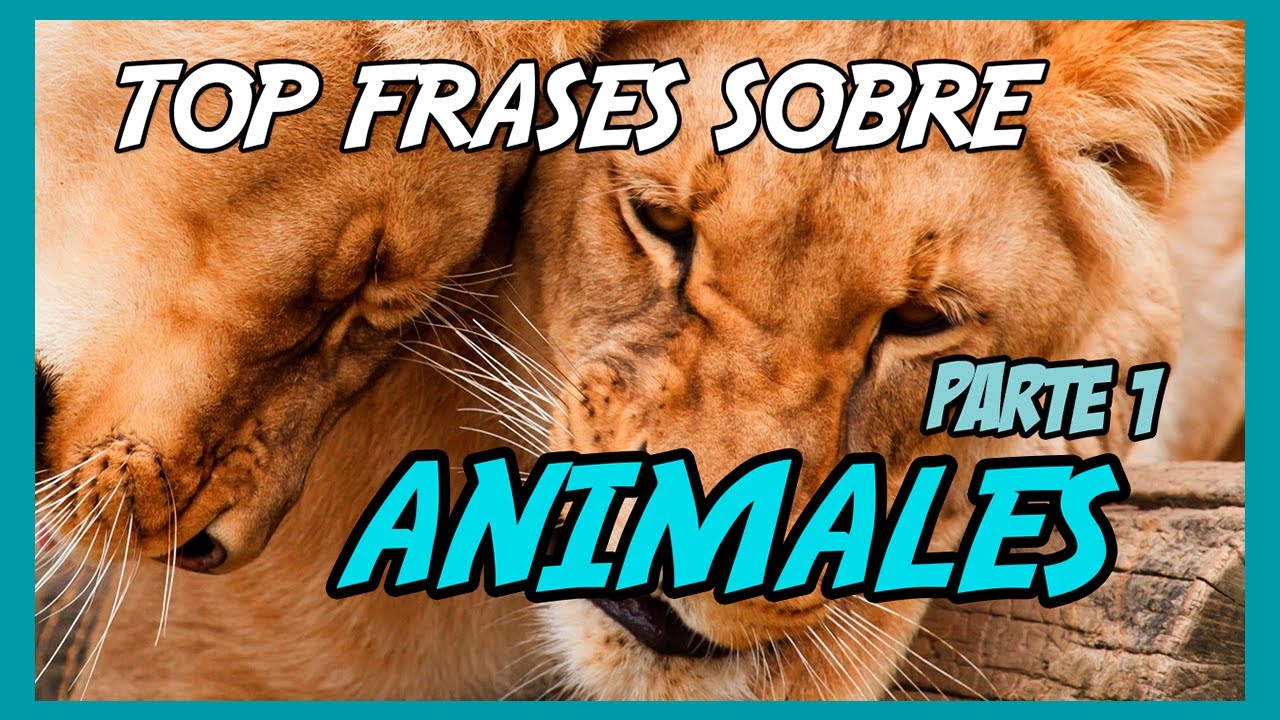frases sobre los derechos de los animales