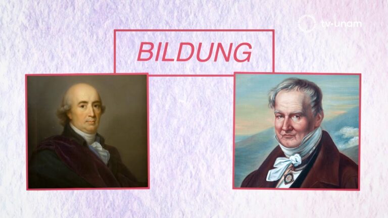 funcion de la cultura en la sociedad