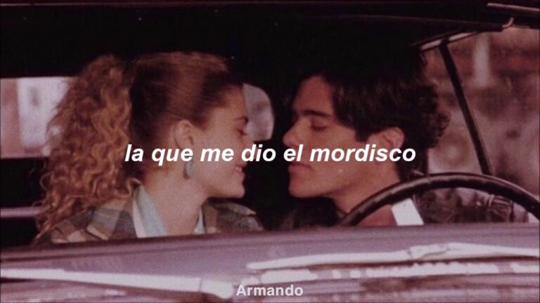 has sido tu te crees que no te he visto