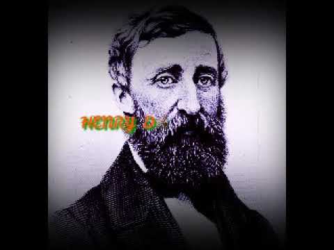 henry david thoreau la vida en los bosques