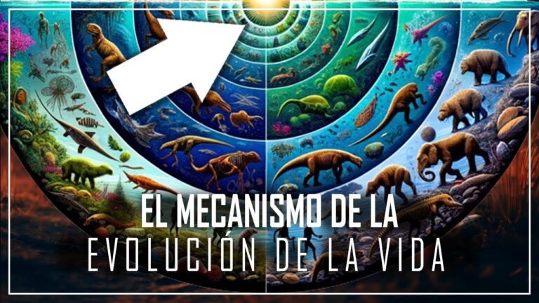 historia de la evolucion de las especies