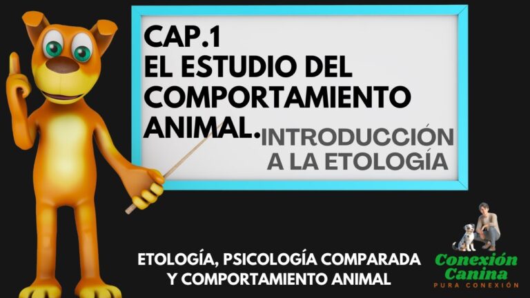 inicio del estudio de la conducta animal