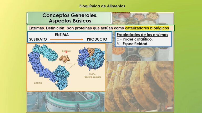 introduccion a la bioquimica y tecnologia de los alimentos cheftel