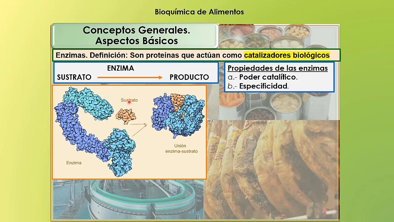 introduccion a la bioquimica y tecnologia de los alimentos cheftel