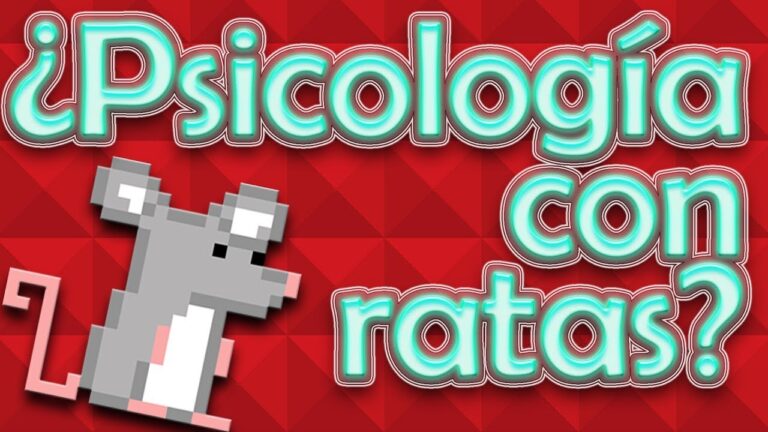 la caja de skinner experimento con ratas