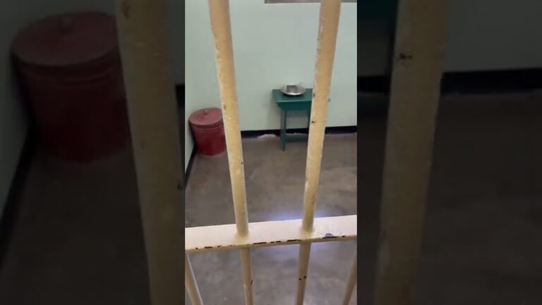 la lucha es mi vida nelson mandela