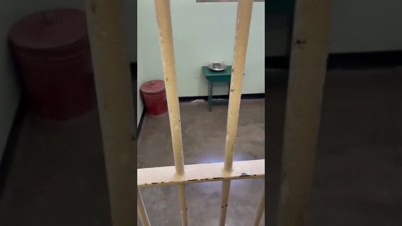 la lucha es mi vida nelson mandela