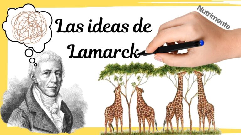 lamarckismo o herencia de los caracteres adquiridos