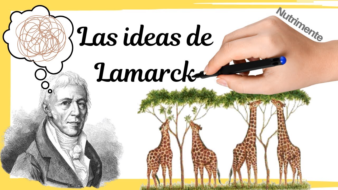 lamarckismo o herencia de los caracteres adquiridos