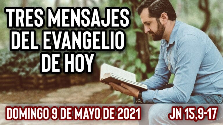 lectura del santo evangelio según san juan 15 9 17