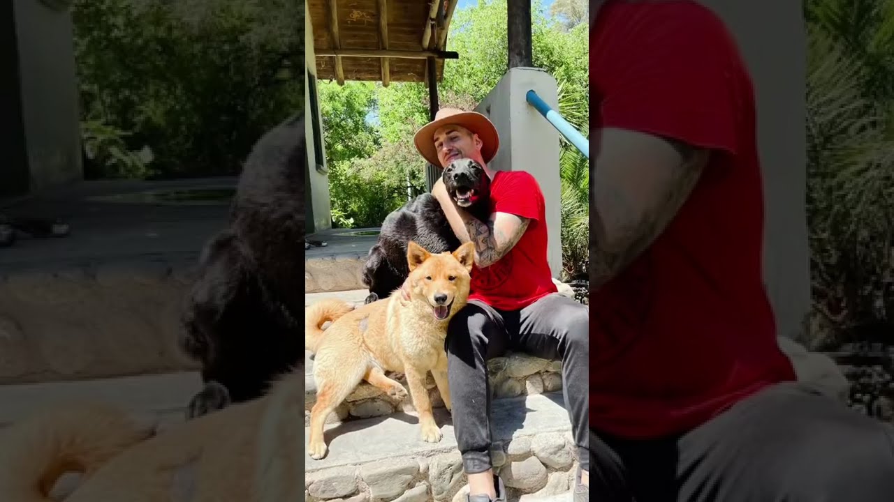 los animales son parte de la naturaleza