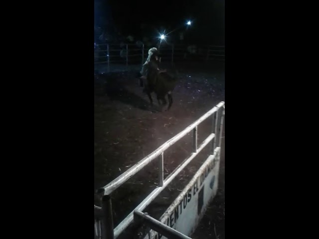 luchar reir y vivir esa es la clave