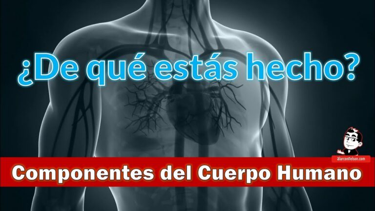 materia de que estan formados los cuerpos