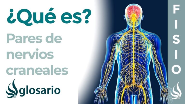 nervios craneales en la salud y la enfermedad