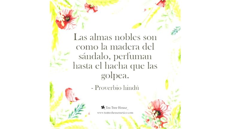 no es mas listo el que mas sabe sino