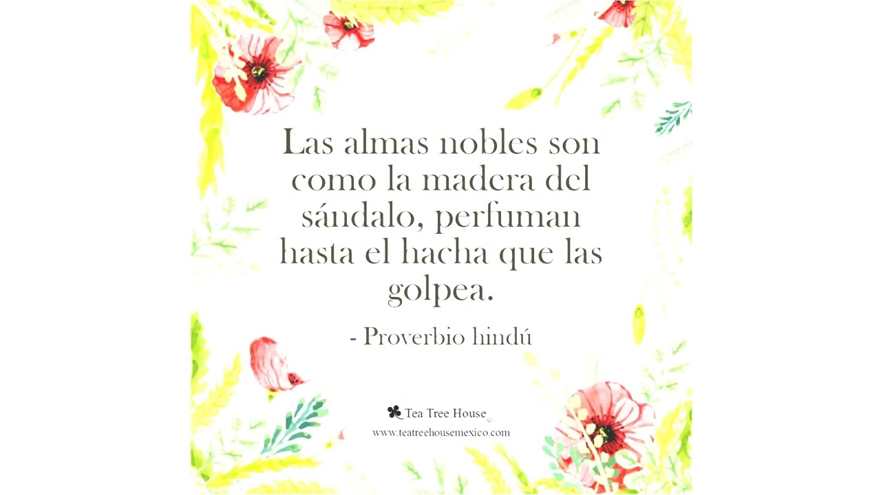 no es mas listo el que mas sabe sino