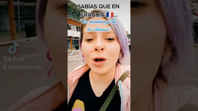 otras lenguas que se hablan en francia