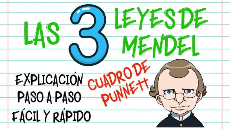 para que sirven las leyes de mendel