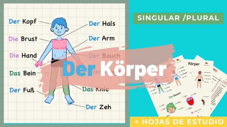 partes del cuerpo en aleman para niños