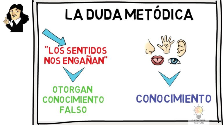 pasos de la duda metodica de rene descartes