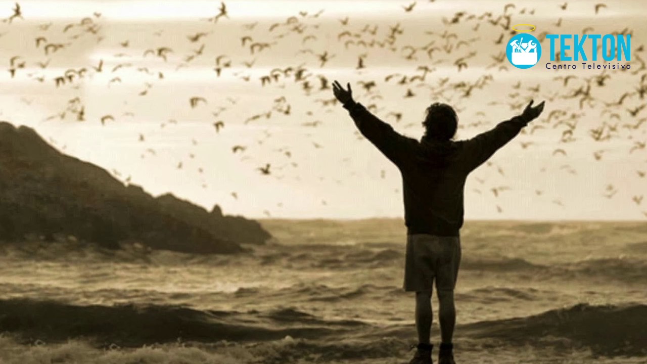 pedro calderón de la barca pedro josé de la barca