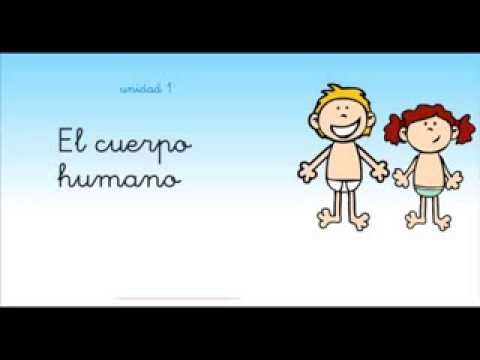 pelayo y sus amigos el cuerpo humano