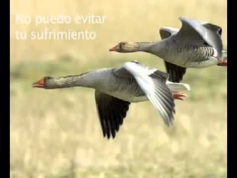 poemas sobre la amistad de poetas famosos