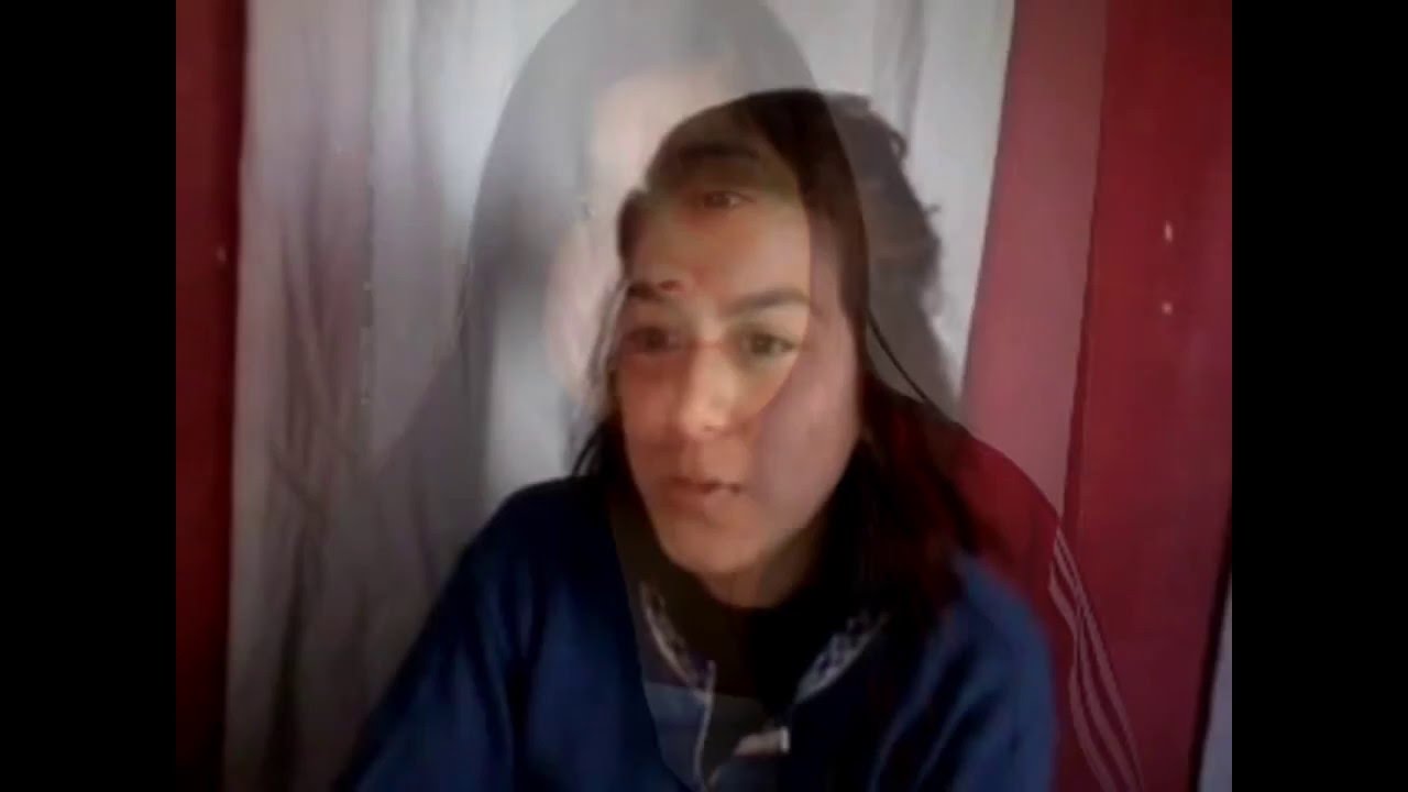 porque el ser humano pertenece al reino animal