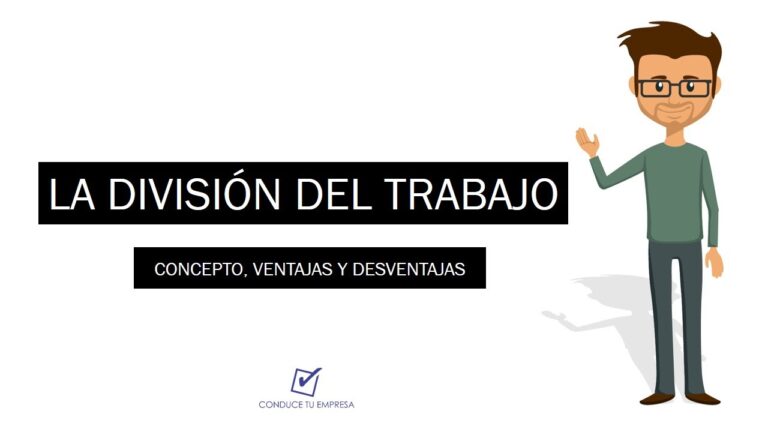 porque es importante la division del trabajo