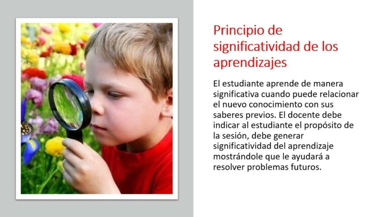 principios psicopedagogicos que favorecen el aprendizaje en educación infantil