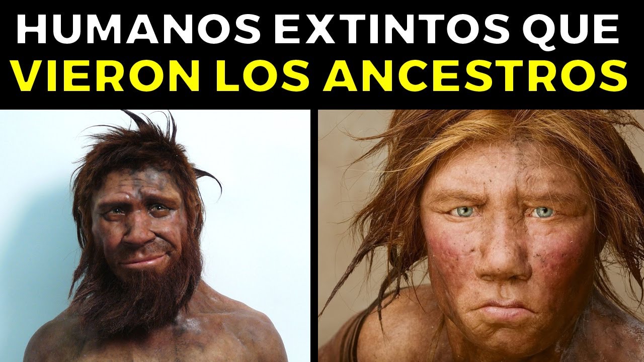que diferencia al ser humano de otras especies