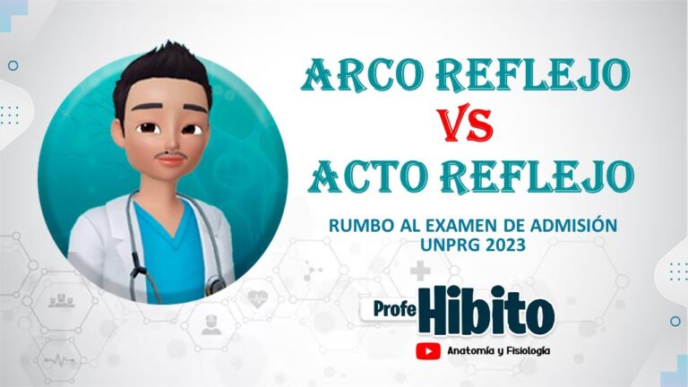 que diferencia hay entre acto reflejo y arco reflejo