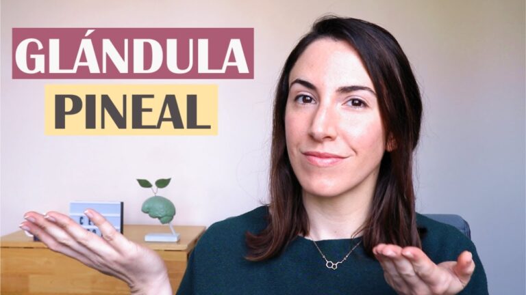que es glandula pineal y su funcion
