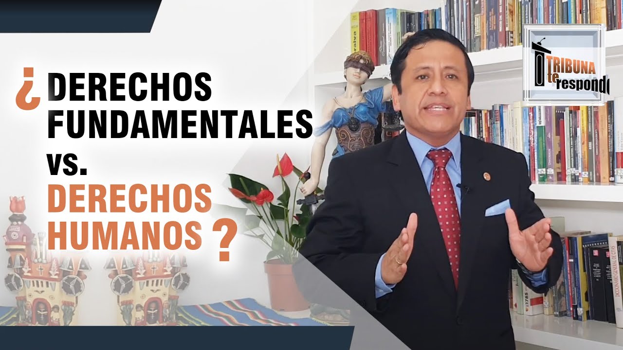 que es la carta fundamental de los derechos humanos