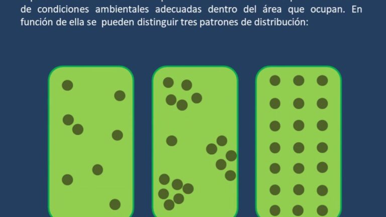 que es la distribucion espacial de la poblacion