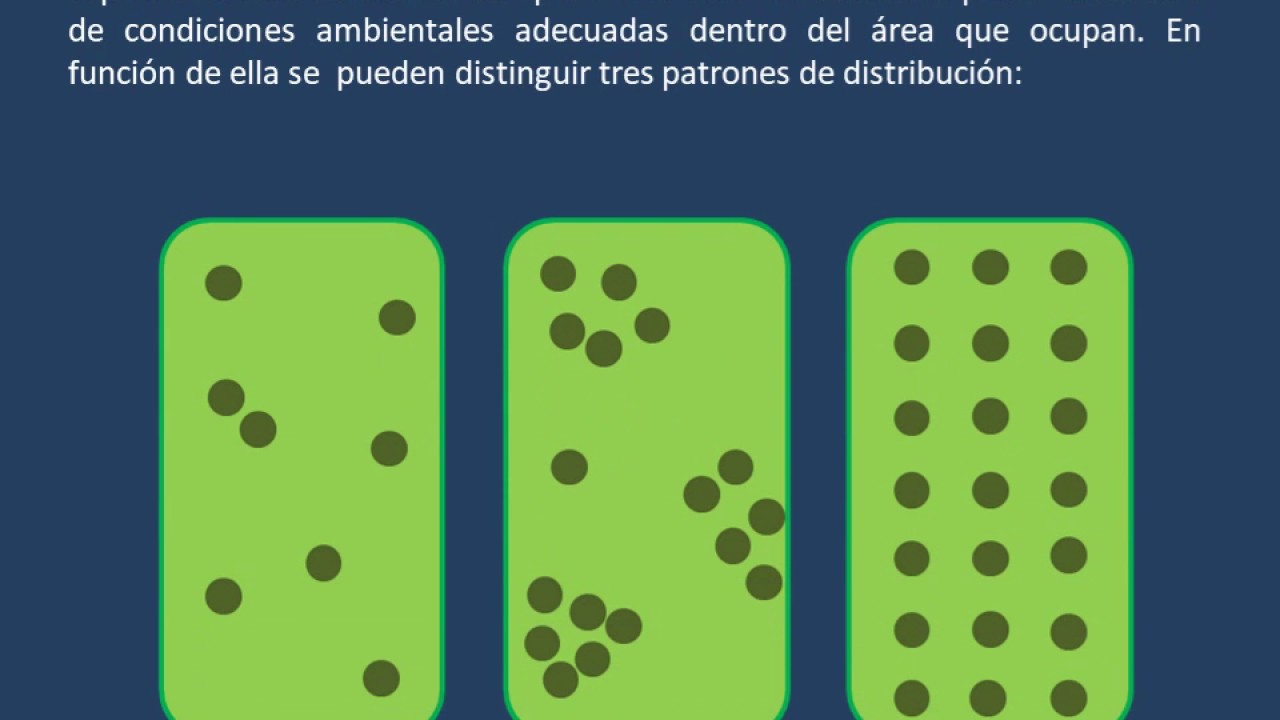 que es la distribucion espacial de la poblacion