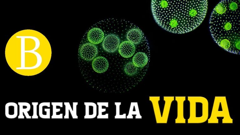 que es la vida y cual es su origen