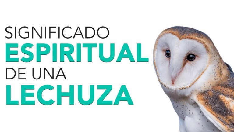 que significa la lechuza en la filosofia