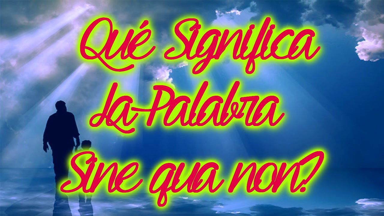 que significa la palabra sine qua non