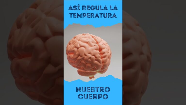 que temperatura de agua soporta el cuerpo humano