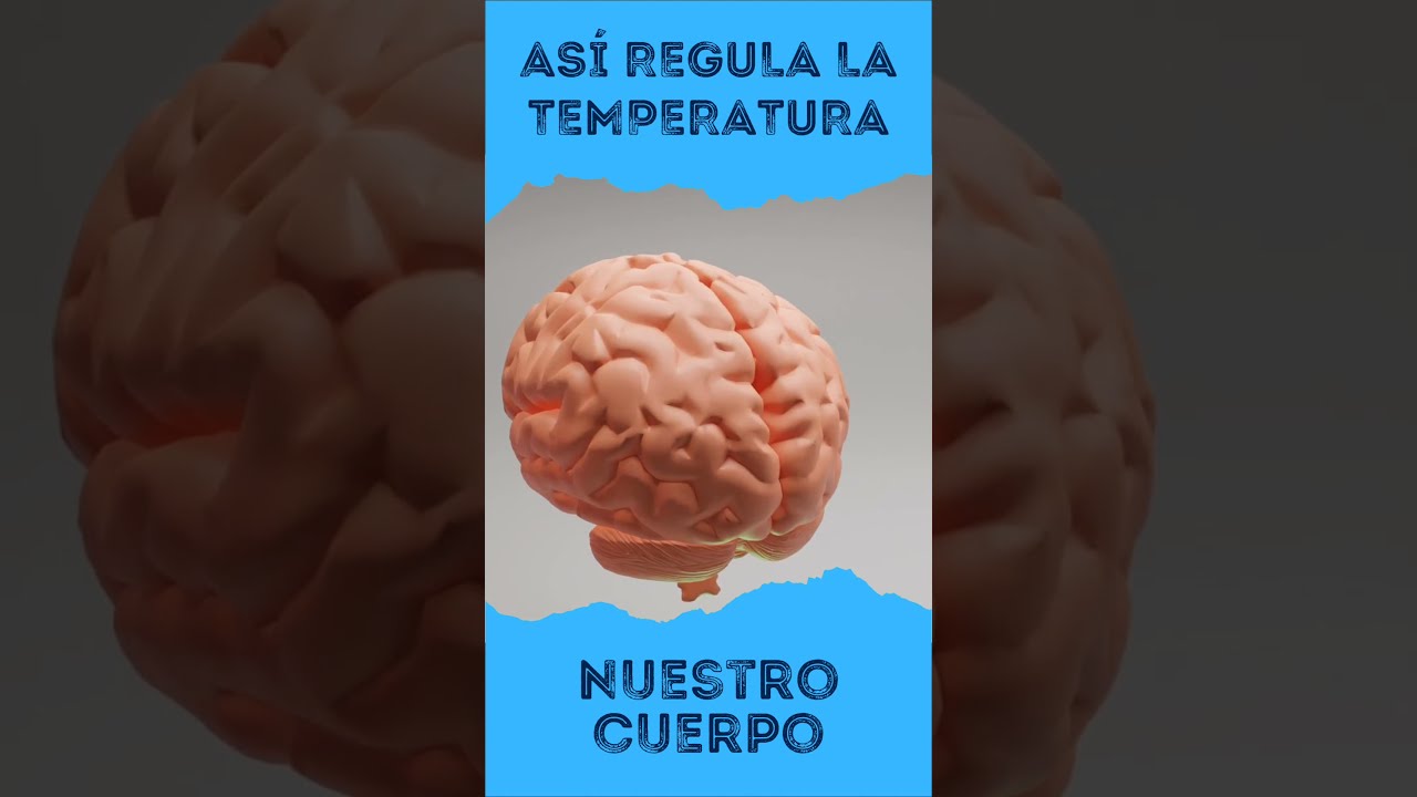 que temperatura de agua soporta el cuerpo humano