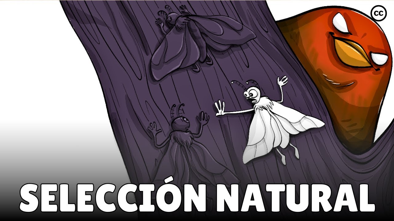 quien propuso la teoria de la seleccion natural