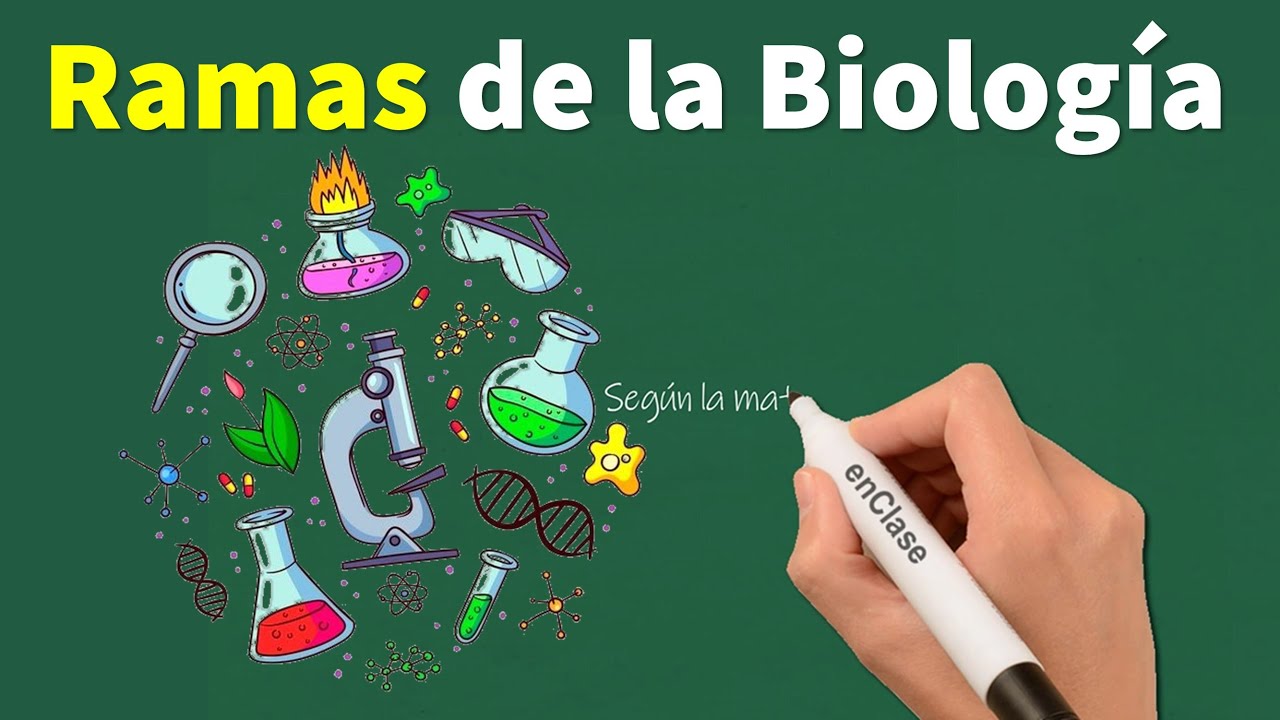 ramas de la biología y su significado