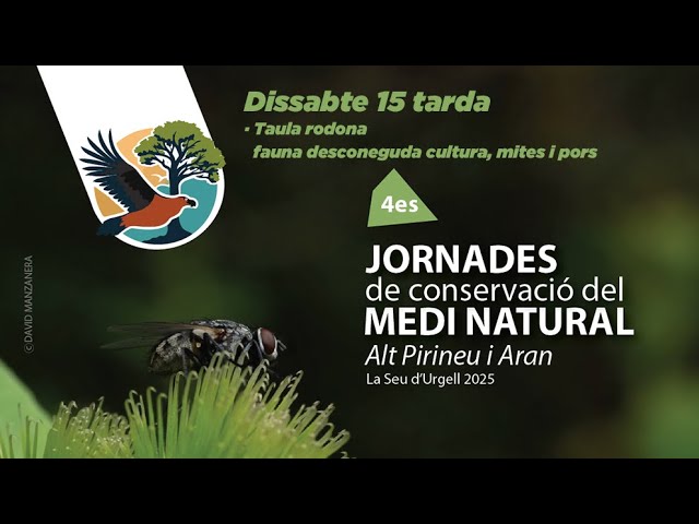 reforç i ampliació coneixement del medi 4