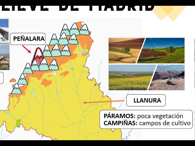 relieve de la comunidad de madrid primaria