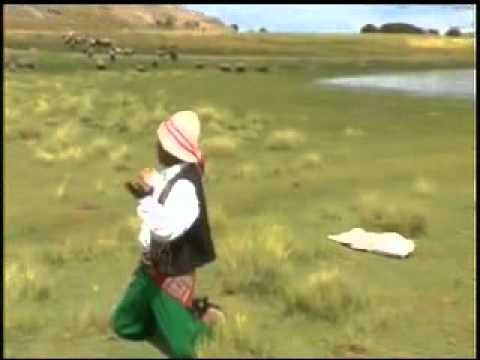 si quieres saber de donde vengo yo