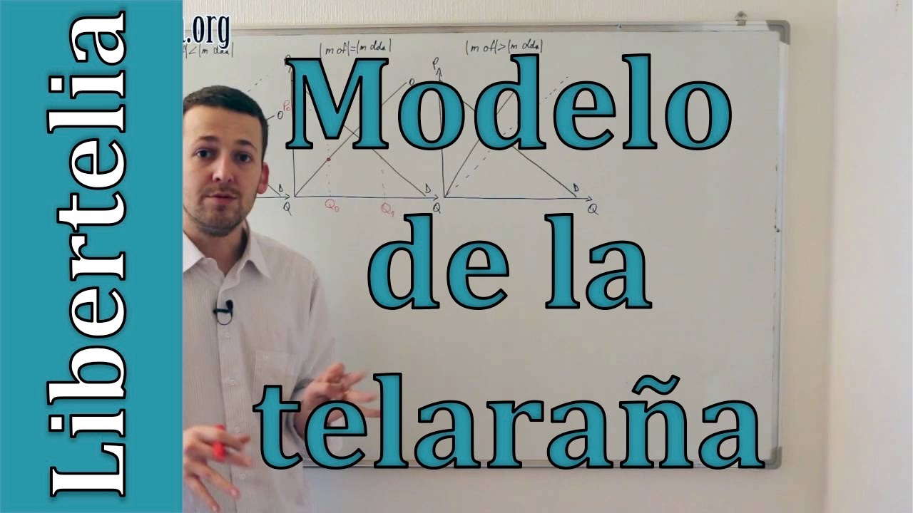 teorema de la telaraña convergente y divergente