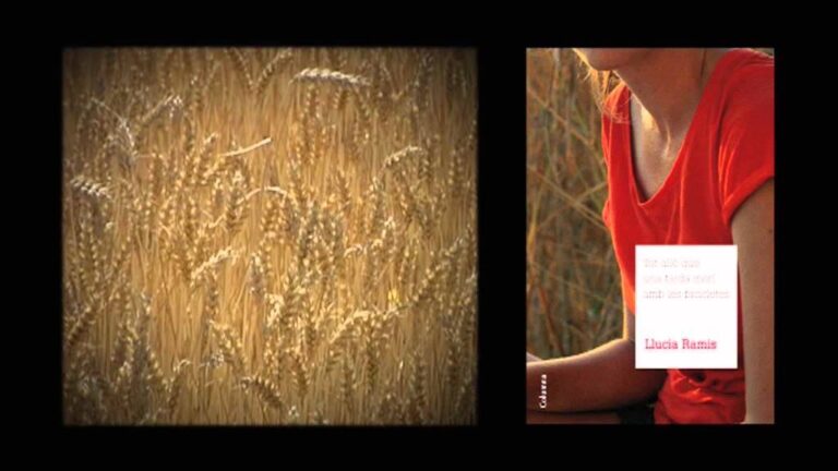 tot allò que una tarda morí amb les bicicletes