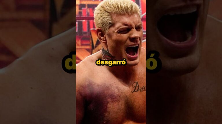 tratamiento que se da al sumo pontifice cody